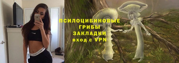 мет Нягань