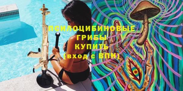 дживик Новодвинск