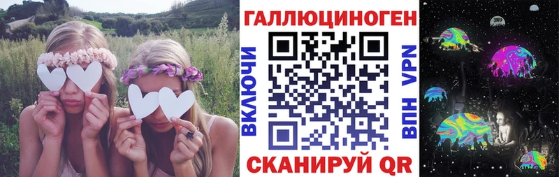 Псилоцибиновые грибы Psilocybine cubensis  Белозерск 